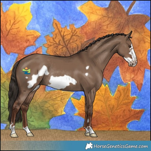 Horse Color:Liver Red Dun Frame Rabicano 