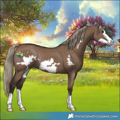 Horse Color:Liver Red Dun Frame Rabicano 