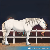 Horse Color:Perlino Dun Splash