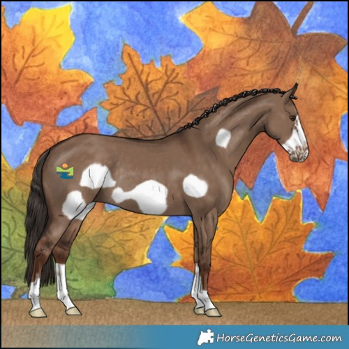 Horse Color:Liver Red Dun Frame Rabicano