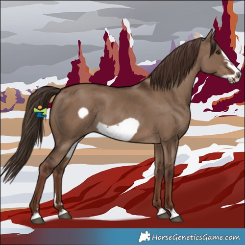 Horse Color:Liver Red Dun Frame Rabicano