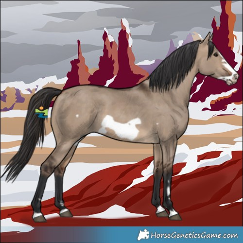 Horse Color:Brown Dun Frame Rabicano