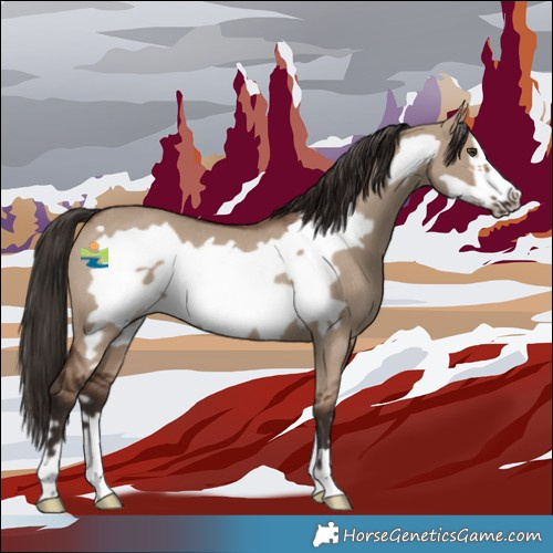 Horse Color:Liver Red Dun Frame Rabicano 