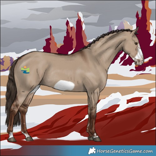 Horse Color:Liver Red Dun Frame Rabicano