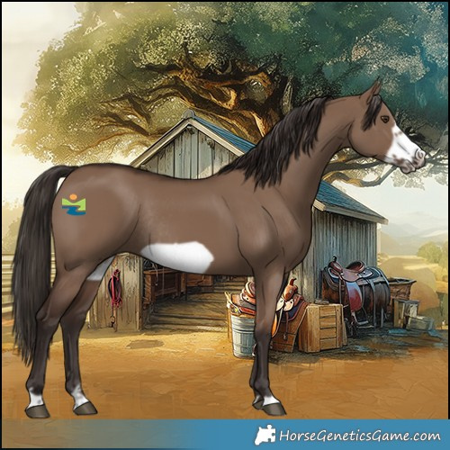 Horse Color:Liver Red Dun Frame Rabicano