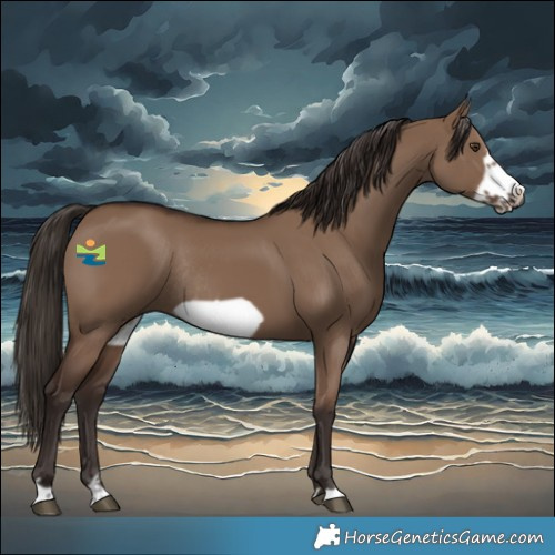 Horse Color:Liver Red Dun Frame Rabicano