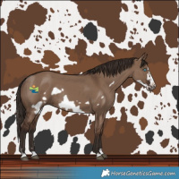 Horse Color:Liver Red Dun Frame Rabicano 