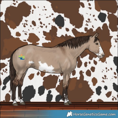 Horse Color:Liver Red Dun Frame Rabicano
