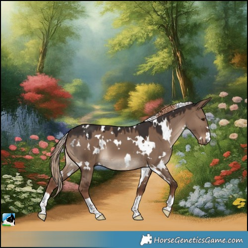 Horse Color:White Spotted Liver Red Dun 