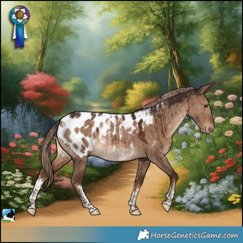 Horse Color:Powder White Liver Red Dun Appaloosa Brindle