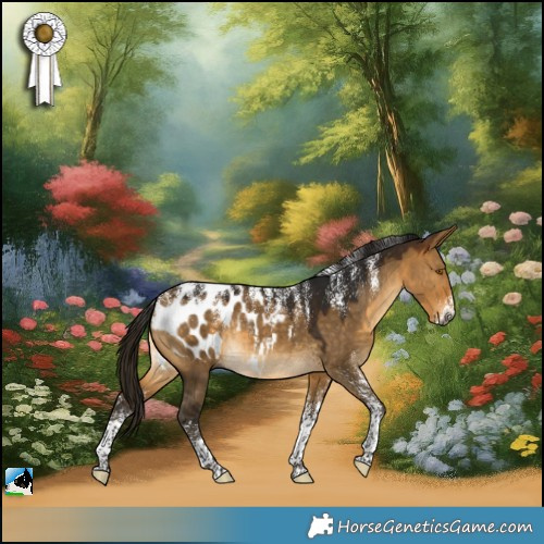 Horse Color:Powder White Gray Buckskin Dun Appaloosa 