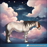 Horse Color:Bay Roan Onyx 