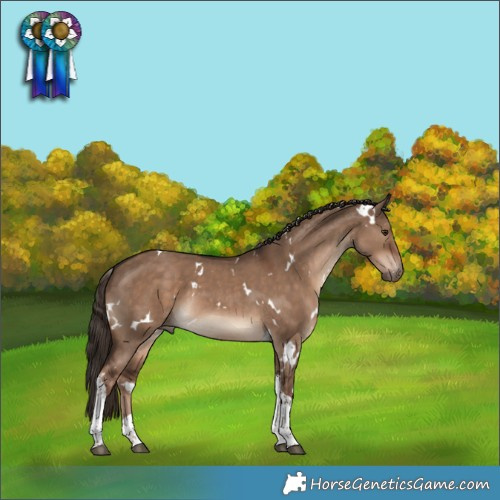 Horse Color:White Spotted Liver Red Dun Tobiano