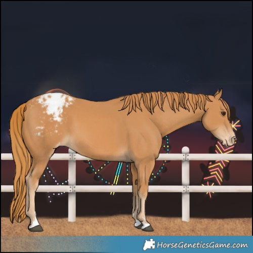 Horse Color:Chestnut Varnish