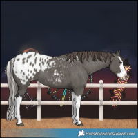 Horse Color:Grullo Splash Blanket