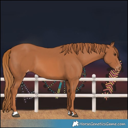 Horse Color:Chestnut Varnish 