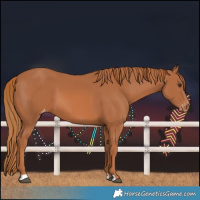 Horse Color:Chestnut Varnish 