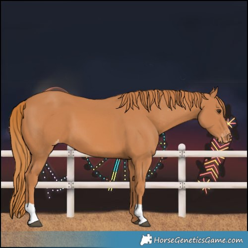 Horse Color:Chestnut Varnish 