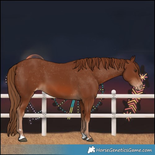 Horse Color:Chestnut Varnish 