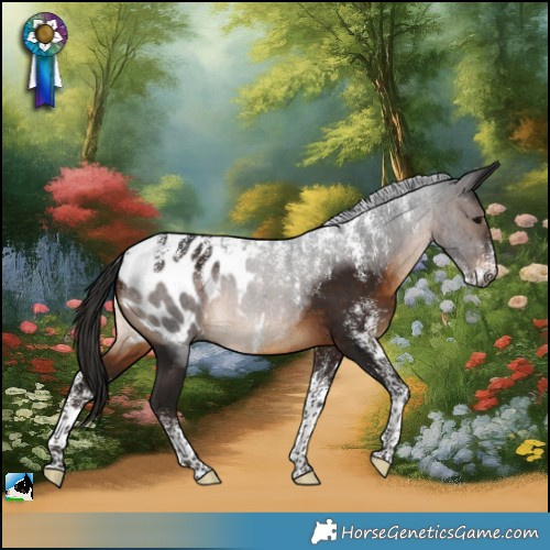 Horse Color:Powder White Gray Brown Appaloosa Rabicano