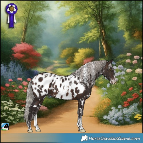 Horse Color:Powder White White Spotted Silver Brown Appaloosa