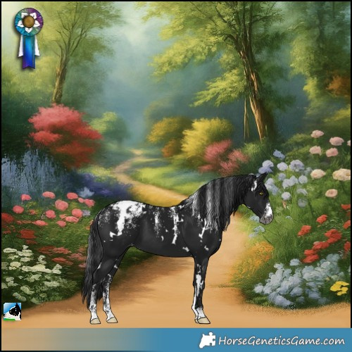 Horse Color:Powder White Gray White Spotted Brown Appaloosa