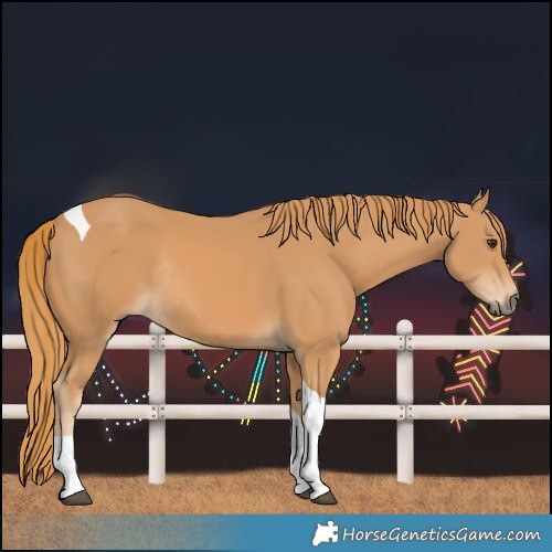 Horse Color:Chestnut Tobiano Rabicano