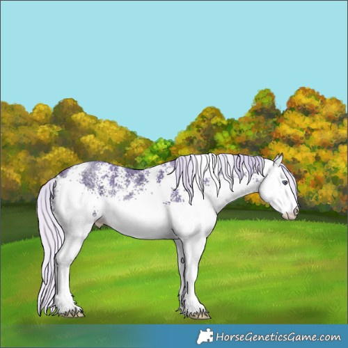 Horse Color:Watercolor White Spotted Silver Brown Chinchilla Ice