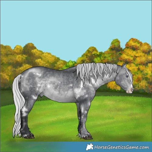 Horse Color:White Spotted Silver Brown Chinchilla Splash Rabicano 