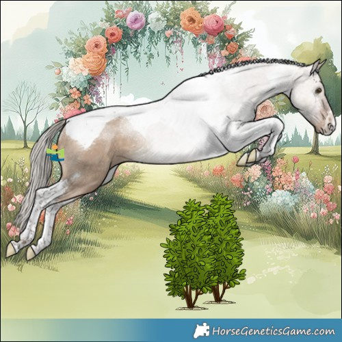 Horse Color:Silver Bay Dun Tobiano Rabicano