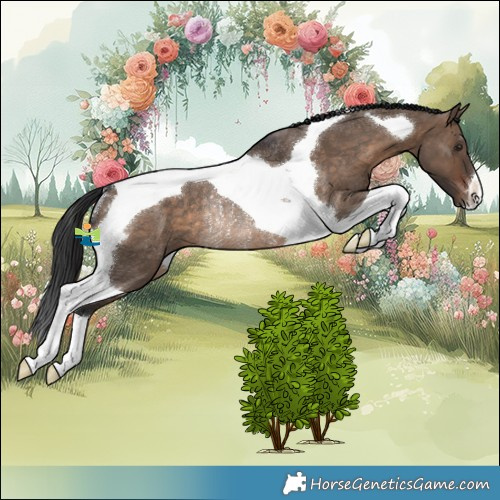 Horse Color:Brown Dun Tobiano Rabicano