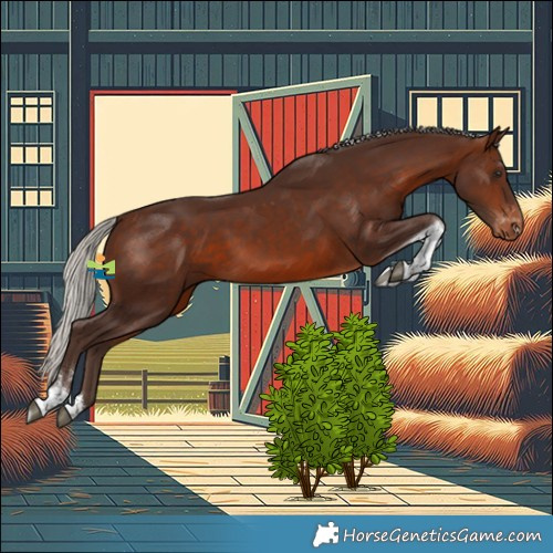 Horse Color:Silver Brown Tobiano Appaloosa Rabicano 