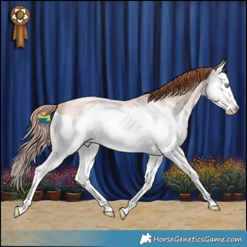 Horse Color:Gold Champagne Roan Splash Frame Rabicano 