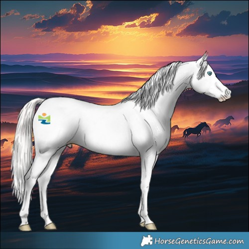 Horse Color:Perlino Splash Fewspot 
