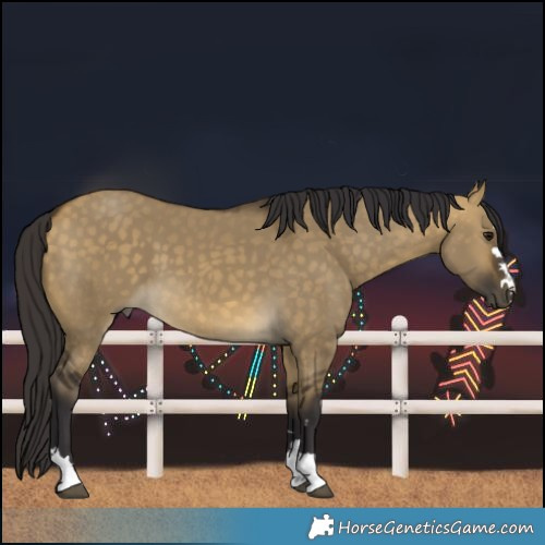 Horse Color:Buckskin Dun 
