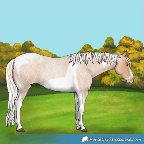 Horse Color:Silver Blue Roan Pearl Tobiano Frame