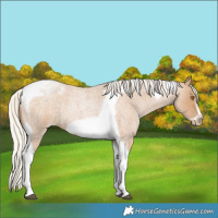 Horse Color:Silver Blue Roan Pearl Tobiano Frame 