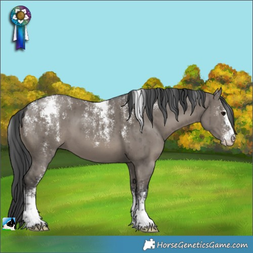 Horse Color:Powder White Grullo Brindle 