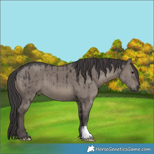 Horse Color:Smoky Grullo Brindle
