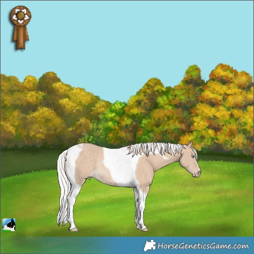 Horse Color:Silver Perlino Tobiano Rabicano