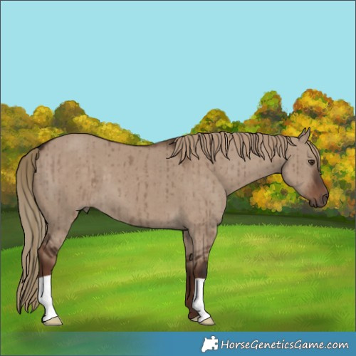 Horse Color:Liver Red Dun Brindle