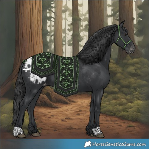 Horse Color:Black Blanket 