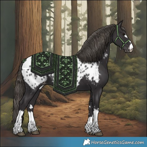 Horse Color:Smoky Black Blanket 