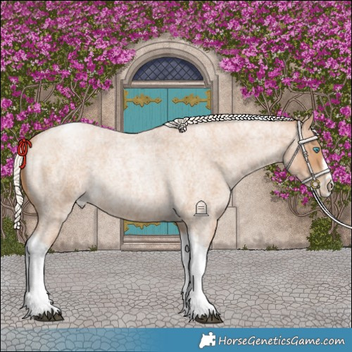 Horse Color:Silver Blue Roan Pearl Tobiano Frame 