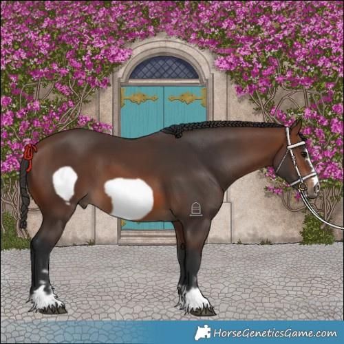 Horse Color:Brown and Brown Frame