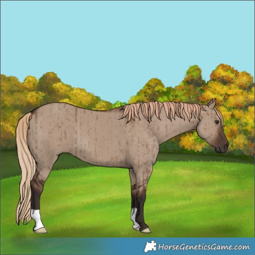 Horse Color:Liver Red Dun Brindle