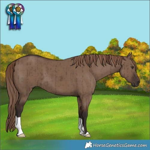 Horse Color:Liver Red Dun Brindle 