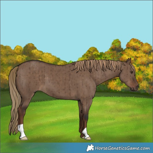 Horse Color:Liver Red Dun Brindle