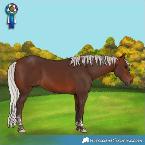 Horse Color:Silver Bay Tobiano Rabicano 