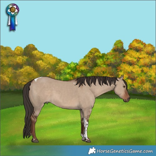 Horse Color:Liver Red Dun Tobiano Rabicano 